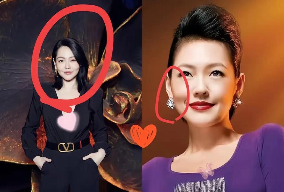 小S戴着大S的遗物出席活动，分别是卡地亚猎豹项链，和260万的爱马仕凯莉包，全是