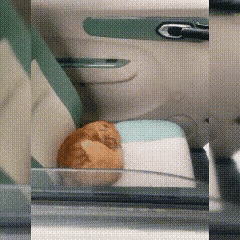 早晨去上班忘了关车窗，中午在单位吃的，傍晚下班发现一只流浪橘猫趴在副驾驶座位上呼