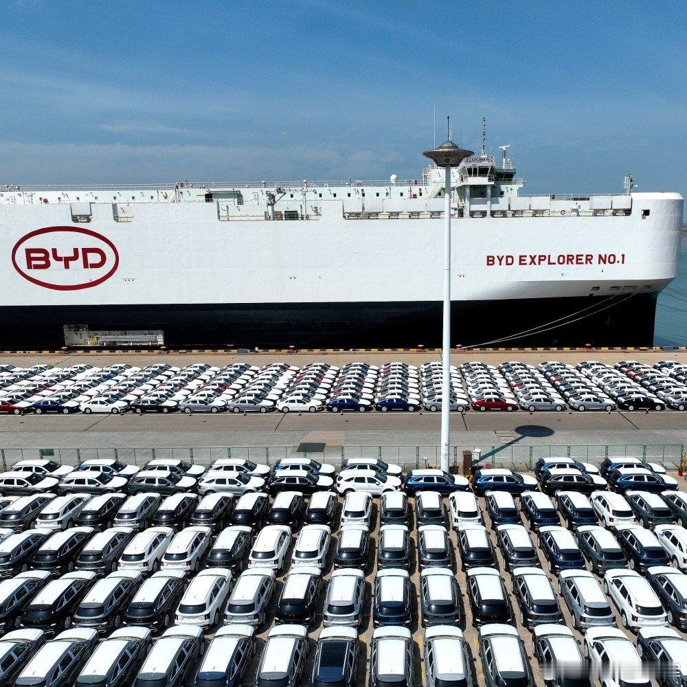 早上看到一个利好迪厂消息大v聊车比亚迪:德国30亿欧元（约35亿美元）电动车补贴