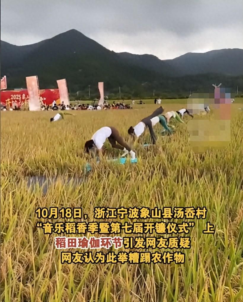 稻田里练瑜伽？浙江某村丰收庆典惹众怒，网友怒批：别拿粮食当噱头！2025年10