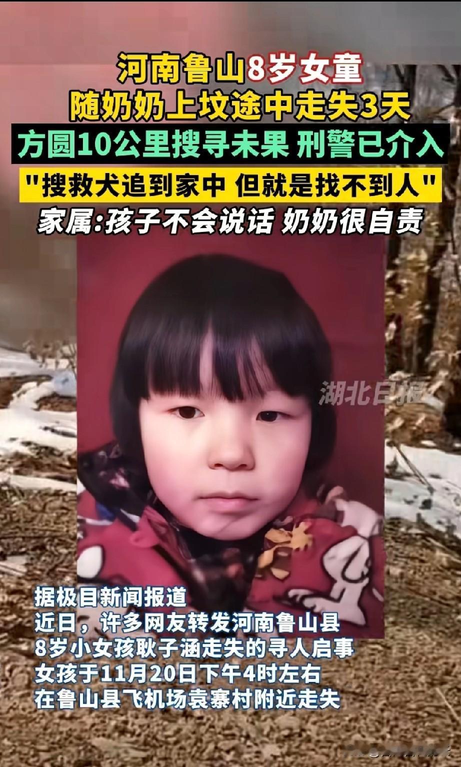 太揪心了！这个叫耿子涵的小女孩，才8岁。4天前被奶奶带着去邻村上坟，结果路上奶奶