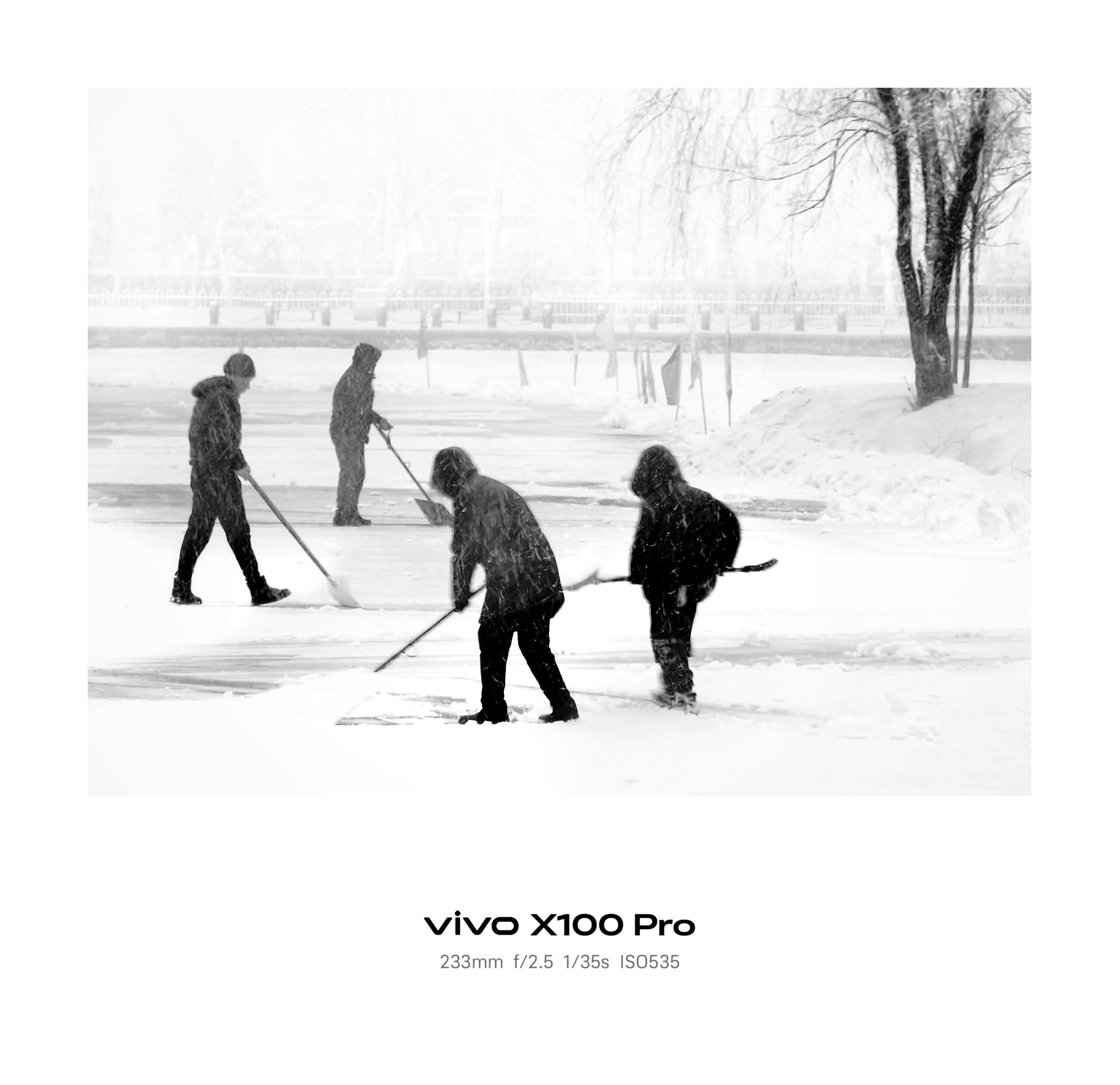 vivoX100Pro拍摄，以233mm长焦、f/2.5大光圈、1/35s快