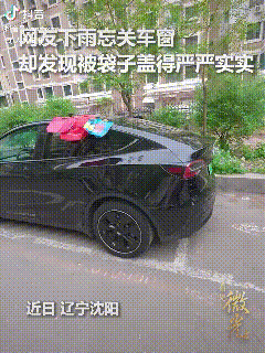 “没想到上人民日报了！”辽宁沈阳，一小伙雨天忘记关上车窗，本以为车内会被雨水打湿