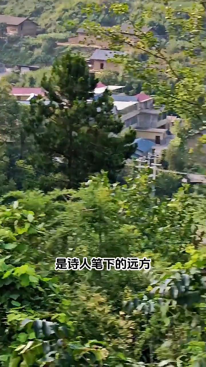 有钱乡下是净土，没钱乡下净是土。农村是富人眼中的天堂，是穷人眼中的荒凉，是诗人笔