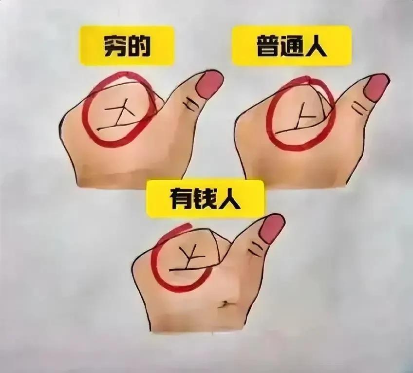 少壮不努力，老大看手型[捂脸哭]#晒图笔记大赛#