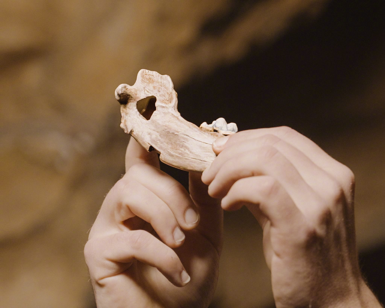 人和狗做伴这件事，又被往前推了5000年。狗是地球上被研究最多的动物之一，但有个