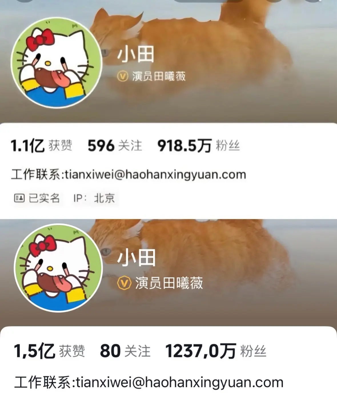 逐玉你的权威 我后知道后觉 