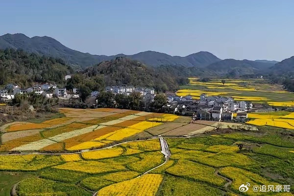 婺源江岭油菜花美成一片油菜花盛开的季节怎么能错过呢三月的婺源，油菜花肆意盛放。江