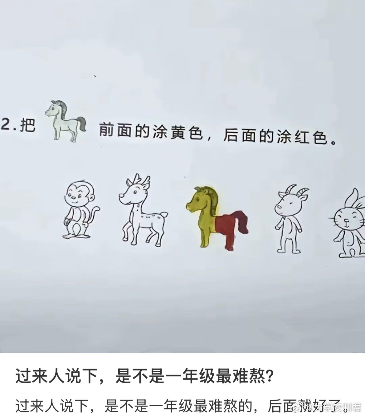 过来人说下，是不是一年级最难熬？