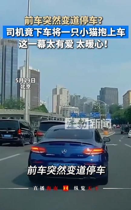 怪不得他开奔驰！5月29日，北京，一男子开着奔驰跑车在路上突然变道停车，随后他下