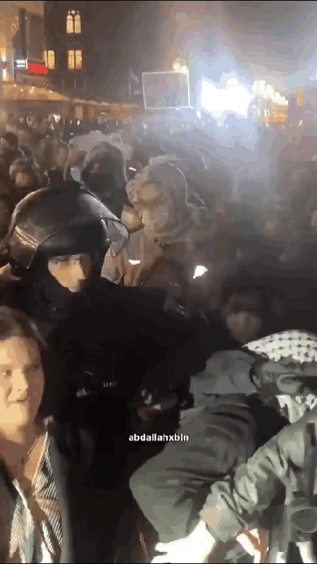 在德国，警方已经厌倦了哈马斯没完没了的抗议游行。一名警察猛击了一名哈马斯支持者的