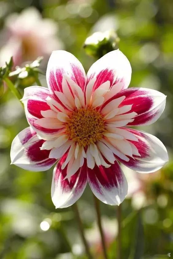 中国最容易读错的地名生僻（多音）字●陕西吴堡的堡，读音为bǔ（补)，不读bǎo