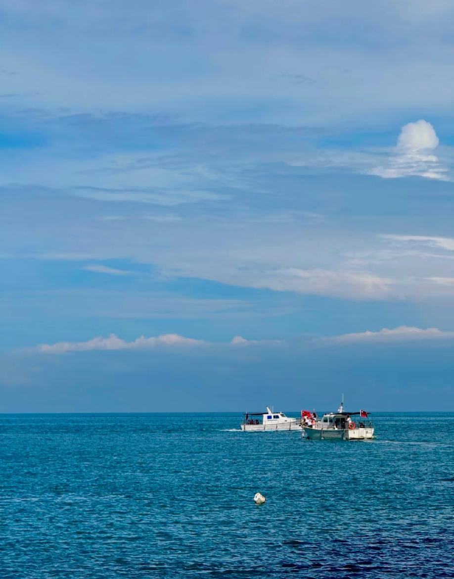 很有用的一段话：“一个一心只想着赚钱的人，一定是个有故事的人，不是因为他有多喜