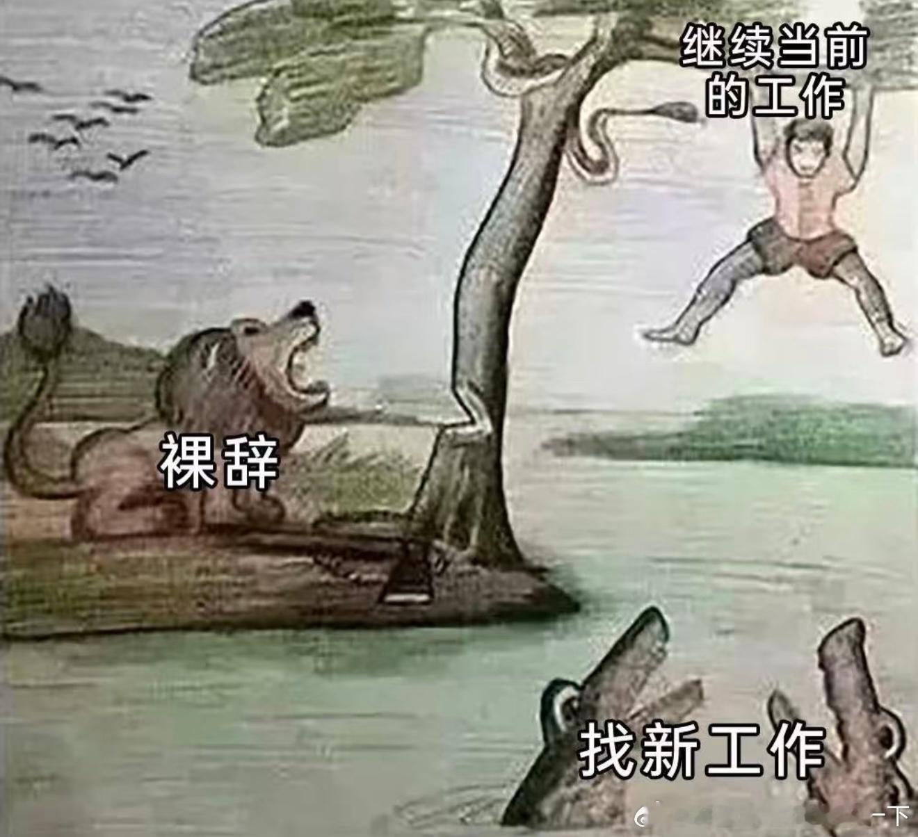 6743该如何选择​​​
