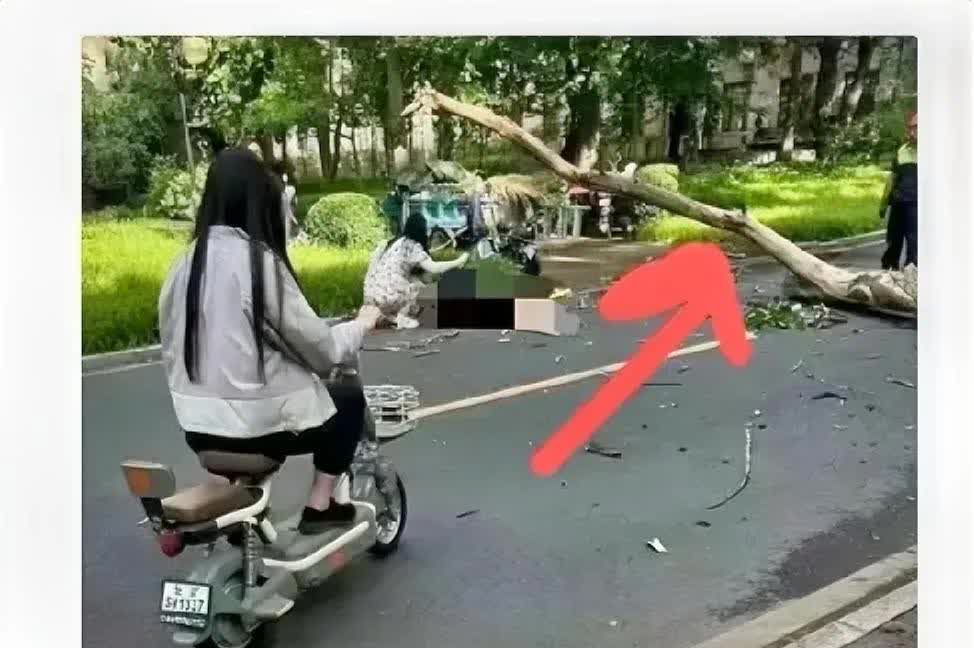 关于清华被砸身亡女教授一事，?又挖出了几个细节：事发地点，是个“灯下