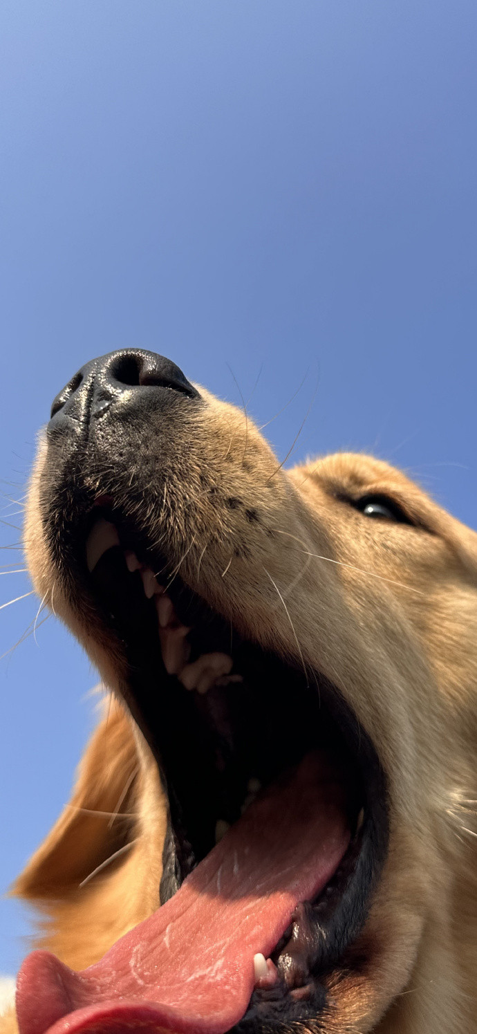 3D景深壁纸|效果惊艳。