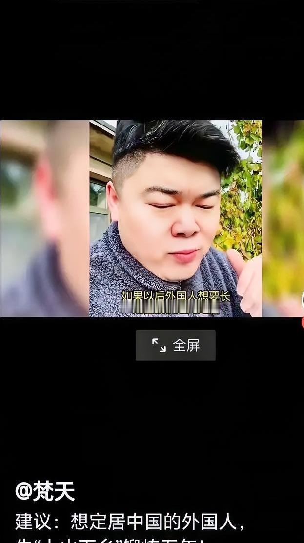 中国不缺人，但缺能扛事儿的高手。外国人想长住？行，先拿真本事说话。北京上海