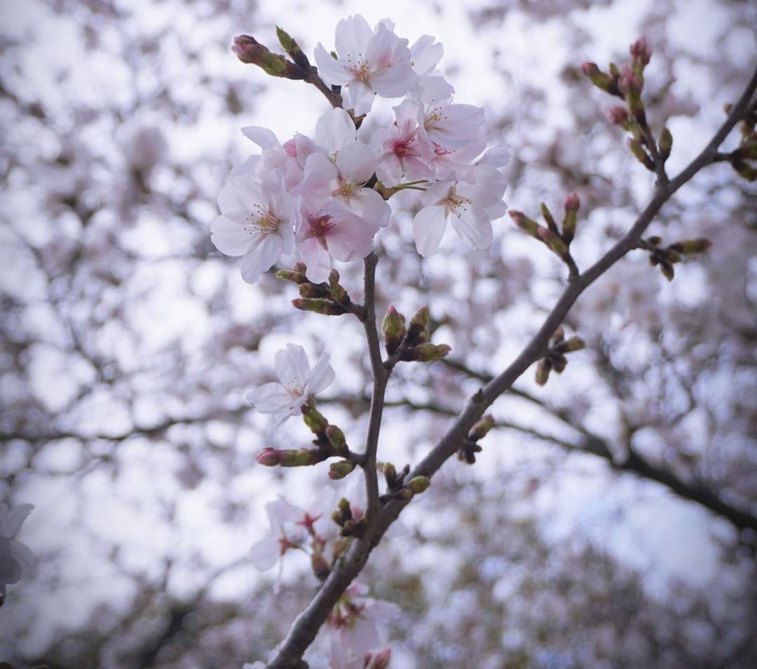今天和搭档吵了一架。原因是他出差带上的是女职员。我好心提醒他要注意影象，现在