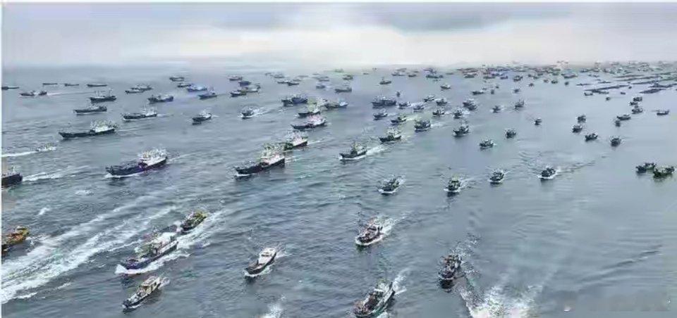 1400渔船齐聚东海，成之字摆开，高市下放开火权，中国果断动手果不其然，为了配合