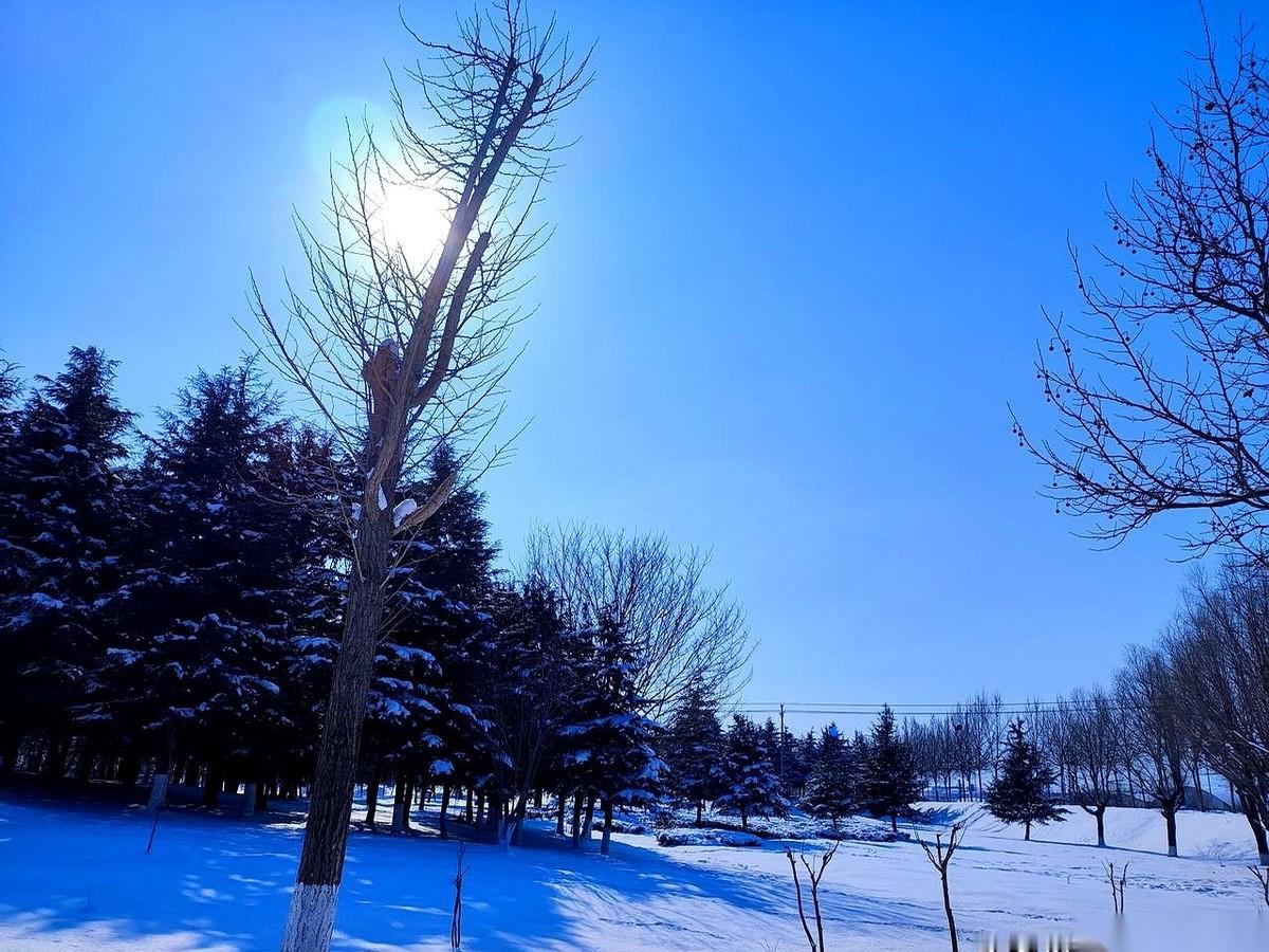 楼上那小伙子，每周六都在鱼竿和媳妇之间做选择。雷打不动。然后，雷打不动地，选