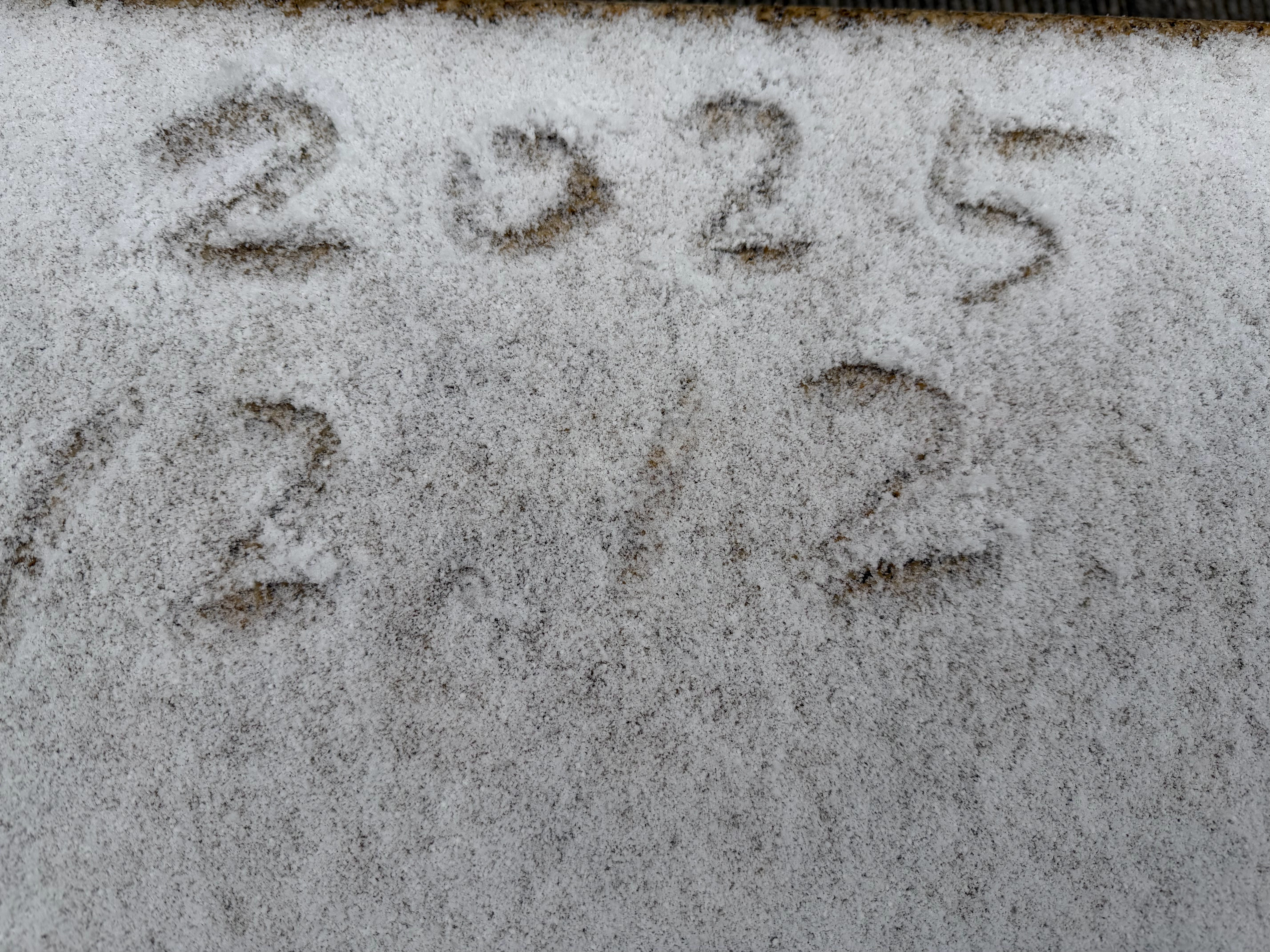 一张图证明我来过这里下雪今冬第一场雪