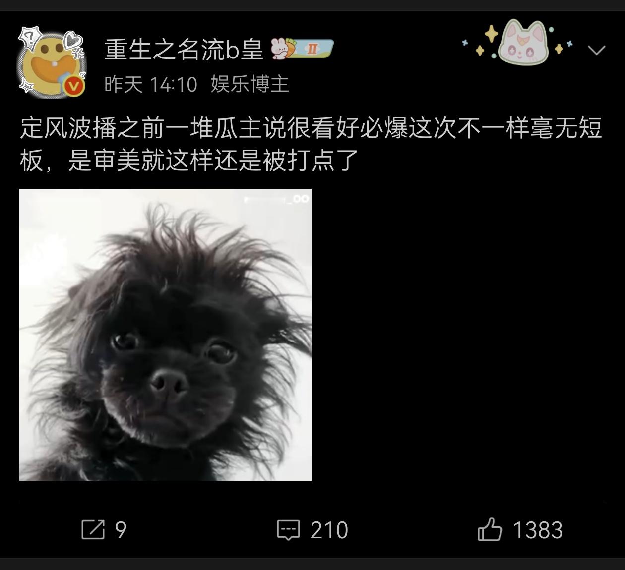 于妈代笔[？？？]​​​