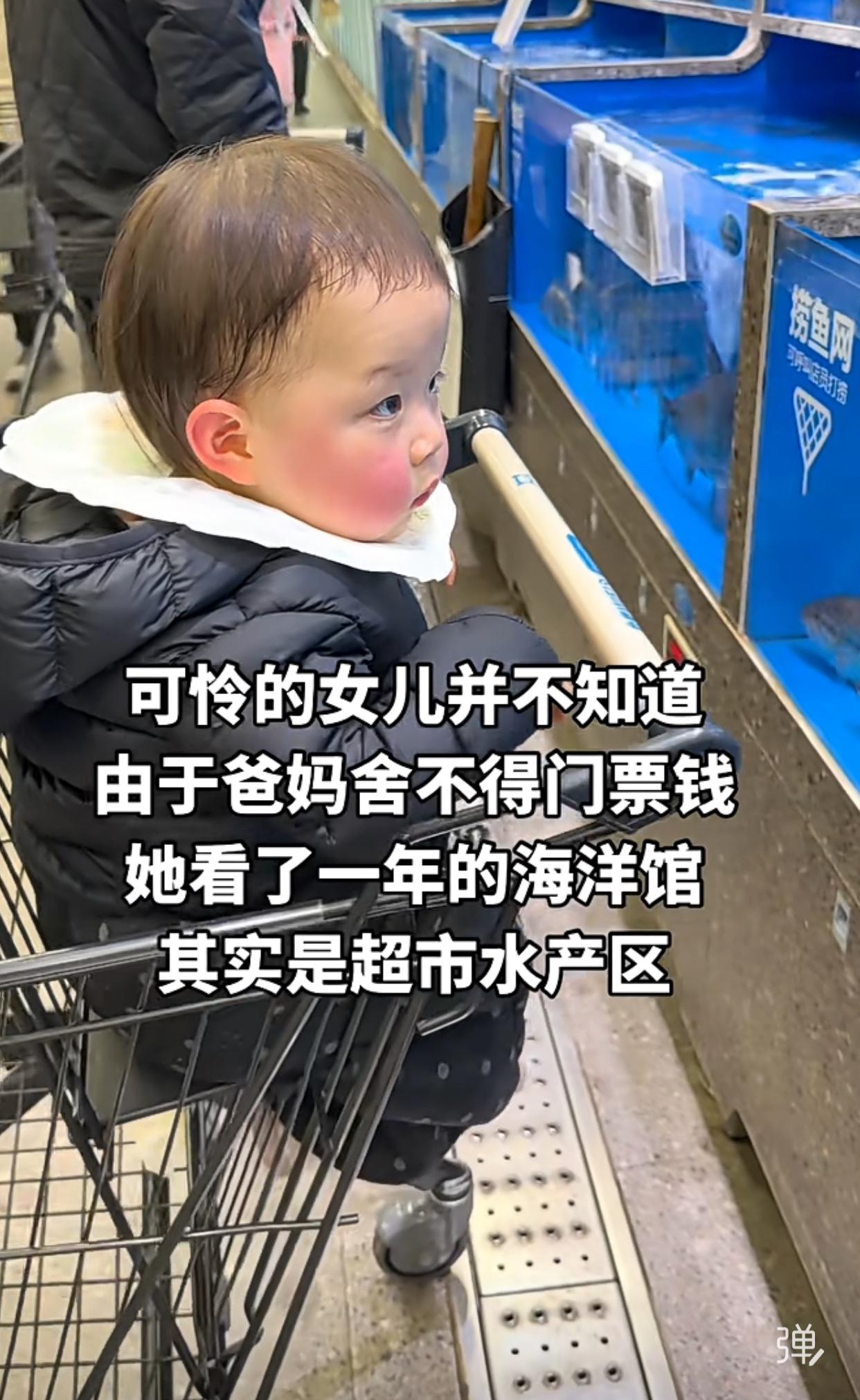 这样的父母，也确实是太有才了吧？天天骗孩子，说带孩子去海洋馆，其实是去超市看鱼缸