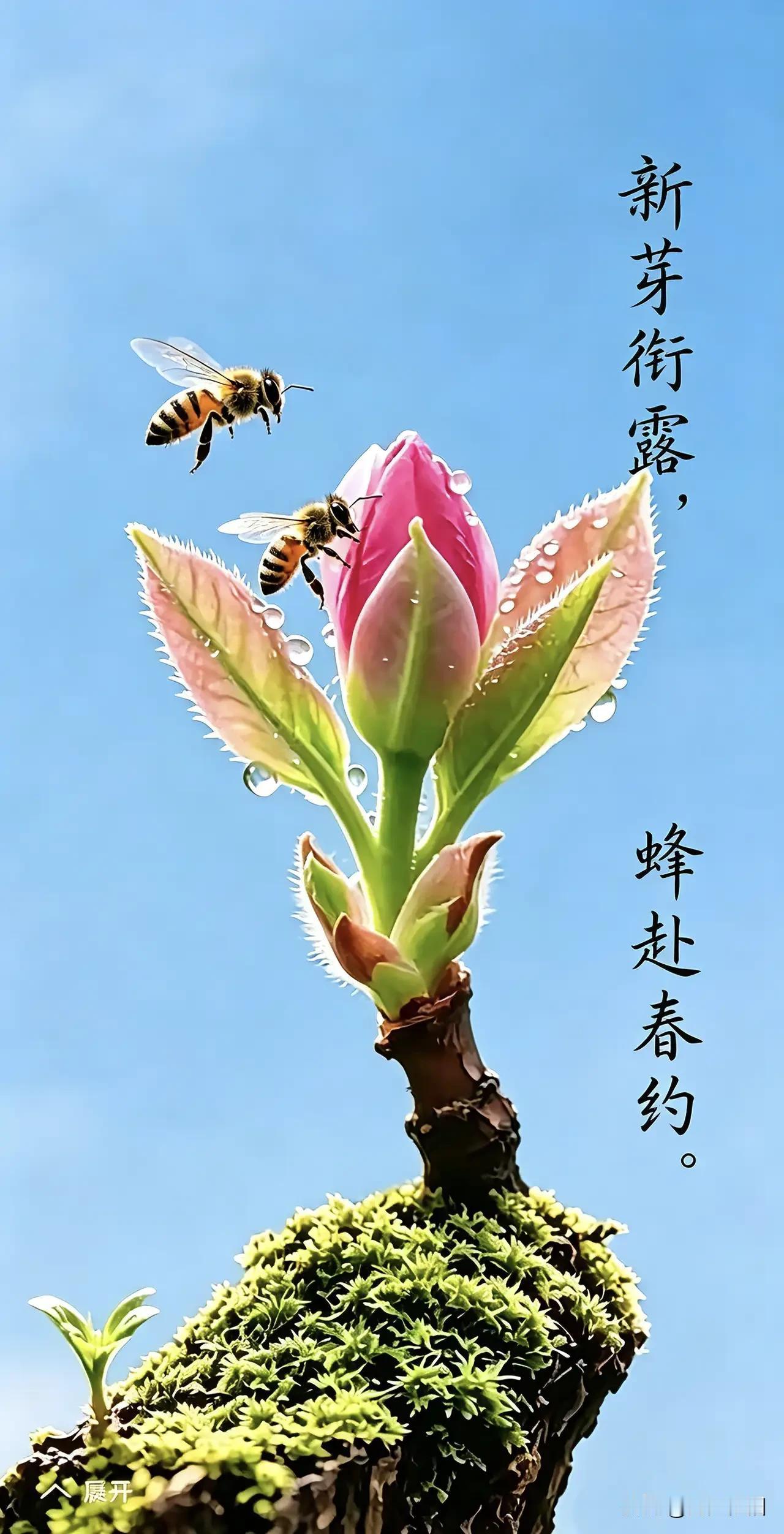 《七律·逐光》莫叹成功有捷径，从来功业赖深耕。今朝步履藏丘壑，他日风