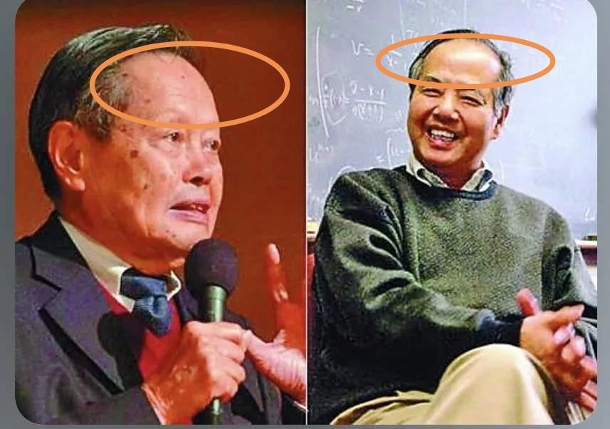 有没发现？杨振宁和李政道的面相有一个特征很像！就是脑门都特别大，天庭部位几乎占