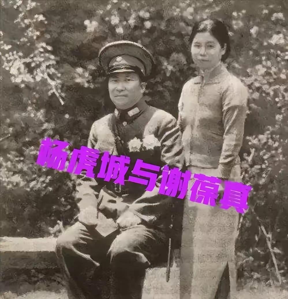 被历史车轮碾碎的花朵1947年，特务们将杨虎城的夫人谢葆真牢牢捆住，脱下她的裤