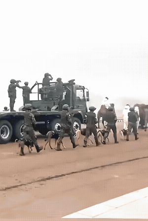 印度的阅兵升级了，全世界的军事专家都看不懂了，开头是搭着老鹰的步兵，可问题是就算