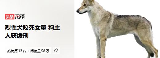 84岁的李某某（化名）看见狗拖着孩子，没喊人帮忙，没报警，拿块布一盖，转头回家了
