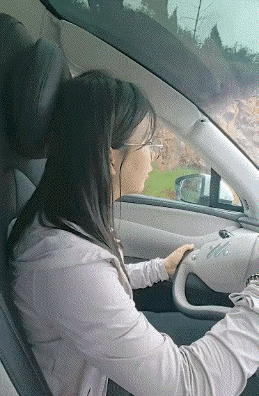 第一次看见这样的方向盘[抠鼻]