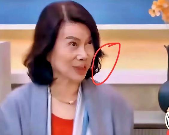 打脸来得太快了!前脚山西省海归商会要求董明珠道歉，后脚教育部就发公告，要加强境外