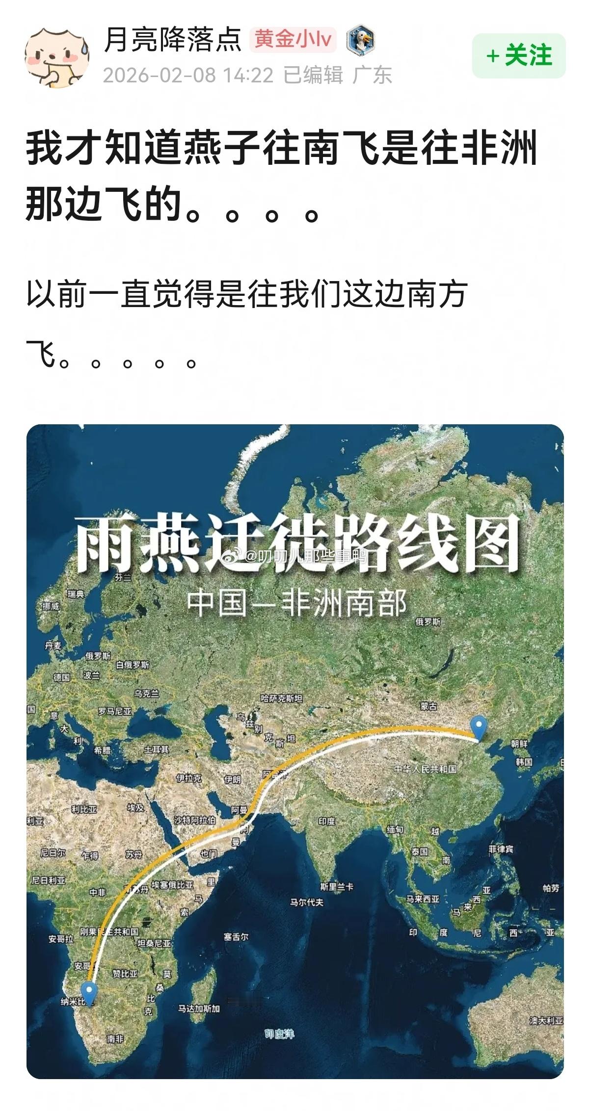 燕子往南非～🐦🐦