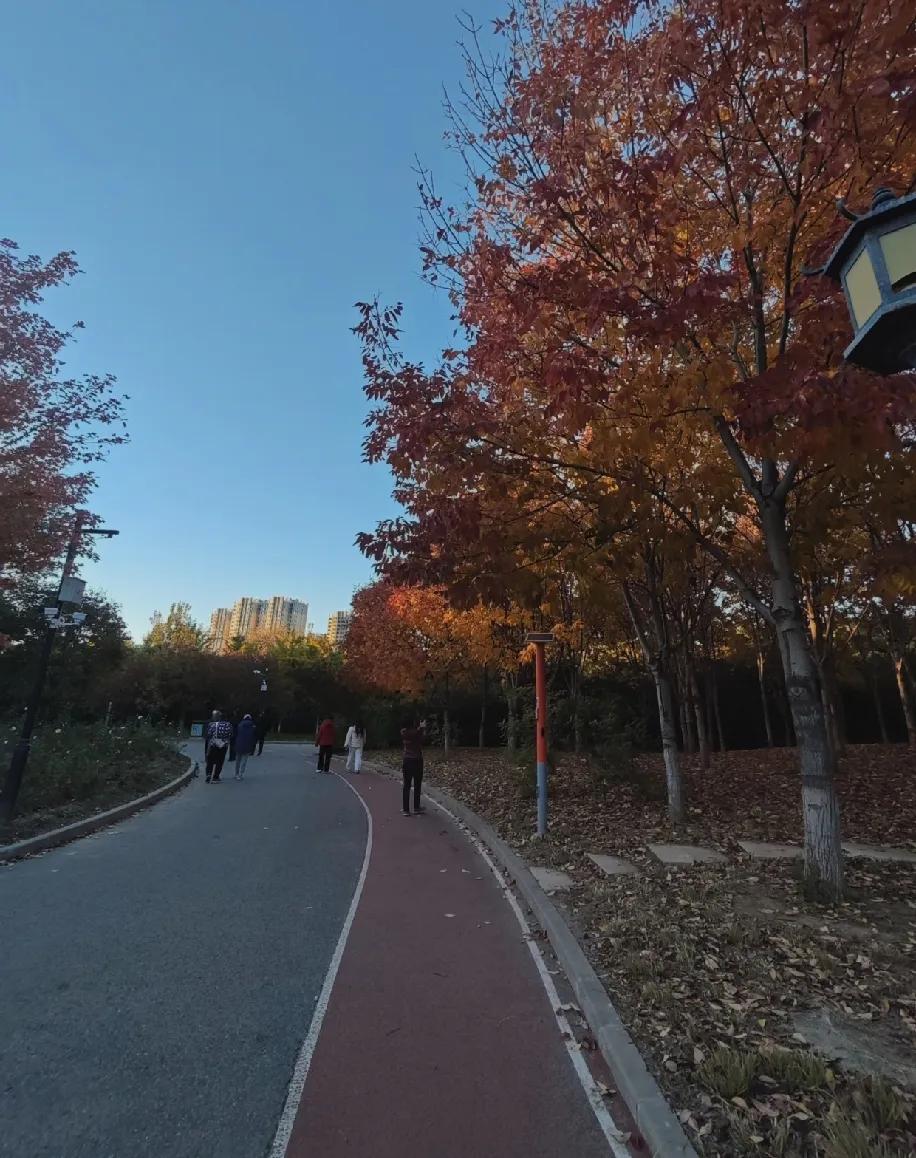 跟我妈闲聊，说同学结婚娘家给了三十万嫁妆，结果她直接炸了电话不接，消息不回。可