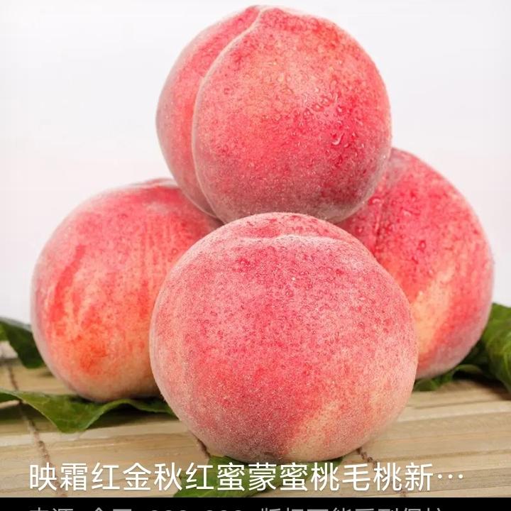 听说在山东蒙阴最好的工作就是种桃树。以前不信，现在信了。通过当地资料可知，蒙
