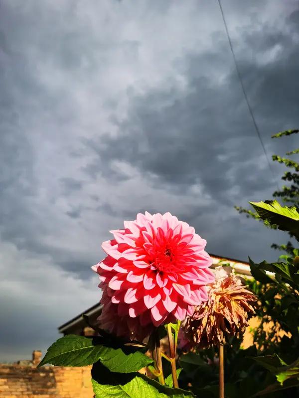 家人们刷到这个新闻，真的忍不住落泪！就因为低头刷了几分钟手机，一个4岁的鲜活生命