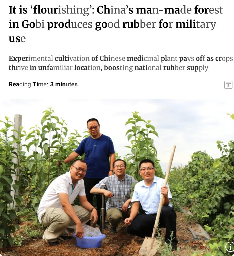 外媒：中国在戈壁沙漠种植的杜仲树成功产出优质橡胶，可用于军事用途。中国是全球