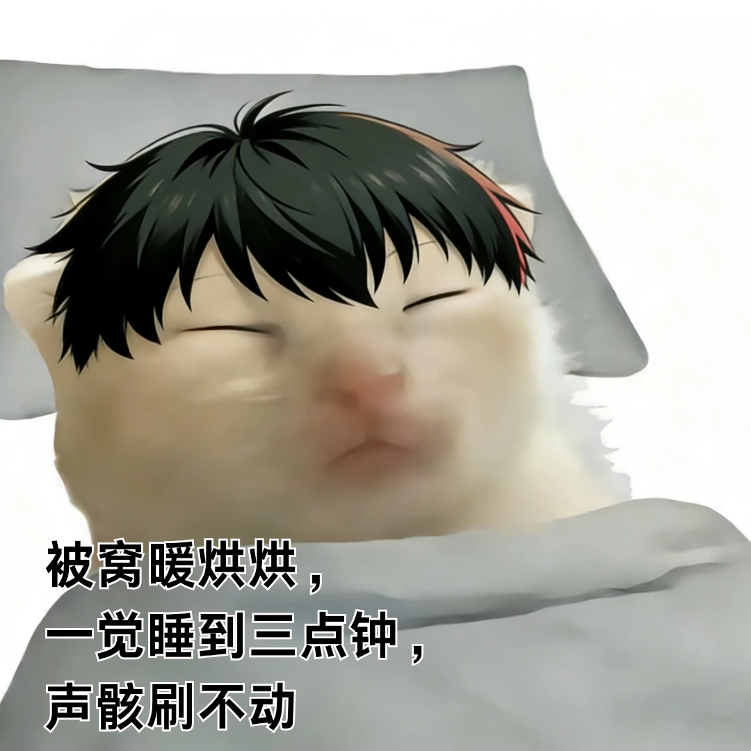 鸣潮｜被窝暖烘烘meme
