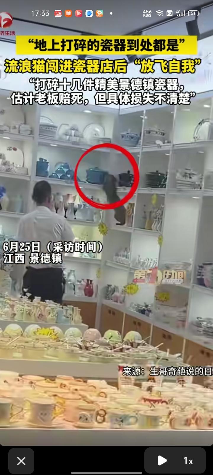 6月20日，江西景德镇。网友发视频称，在景德镇服务区发现一家瓷器店里有猫在不停的
