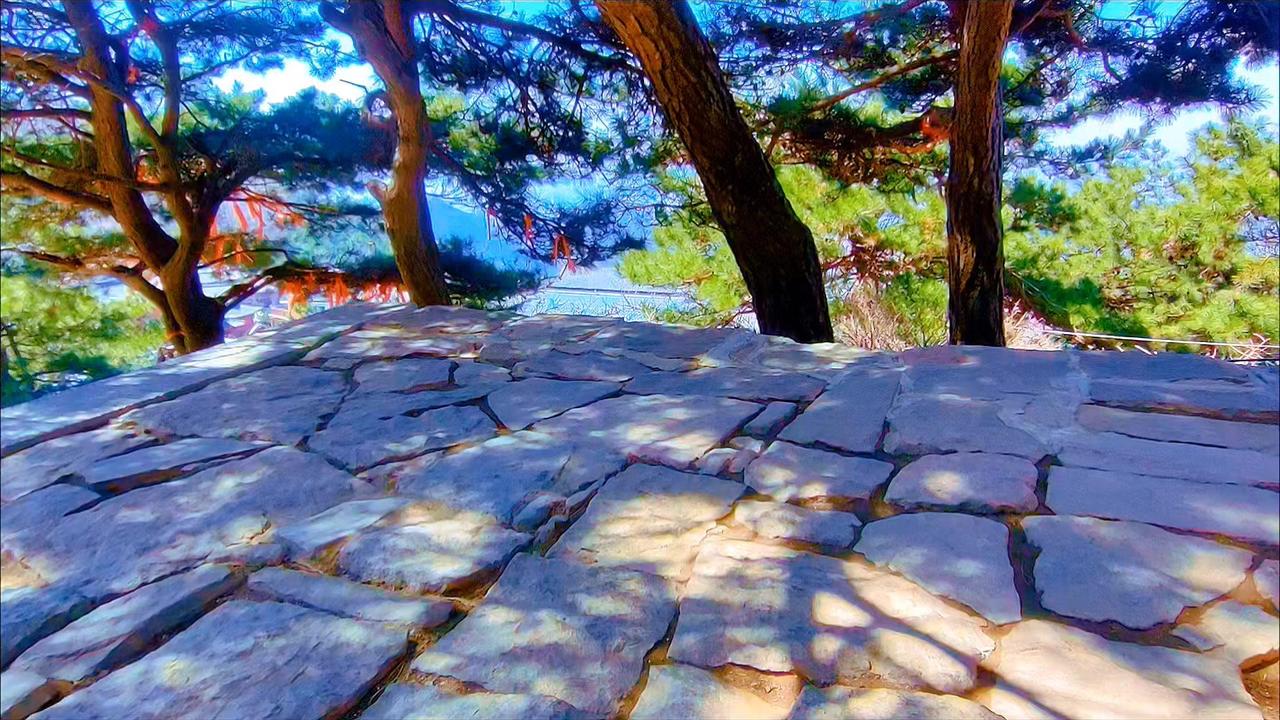 在泰山下山时竟有这般惊喜！选了少人走的石阶，两侧苍松如伞盖，阳光穿过针叶，地面铺