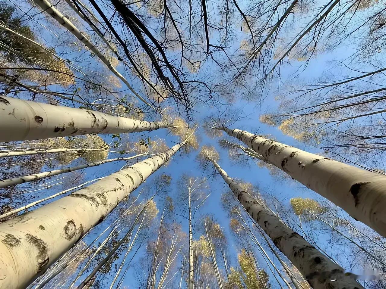 随着反贪持续深入，我国的监狱已经不够用了，监狱人满为患，监狱不够用的问题成为了一