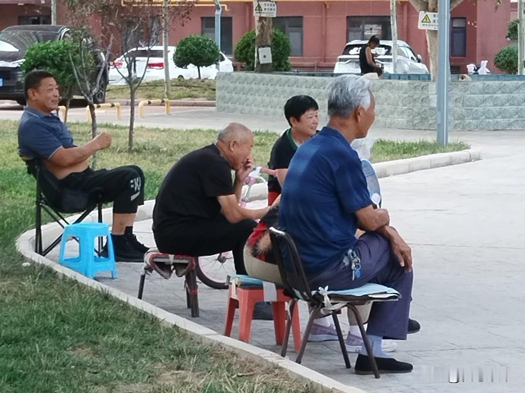 婆婆们，不管儿媳妇对你好与不好，都影响不了你晚年的幸福指数。一，婆婆养育的是