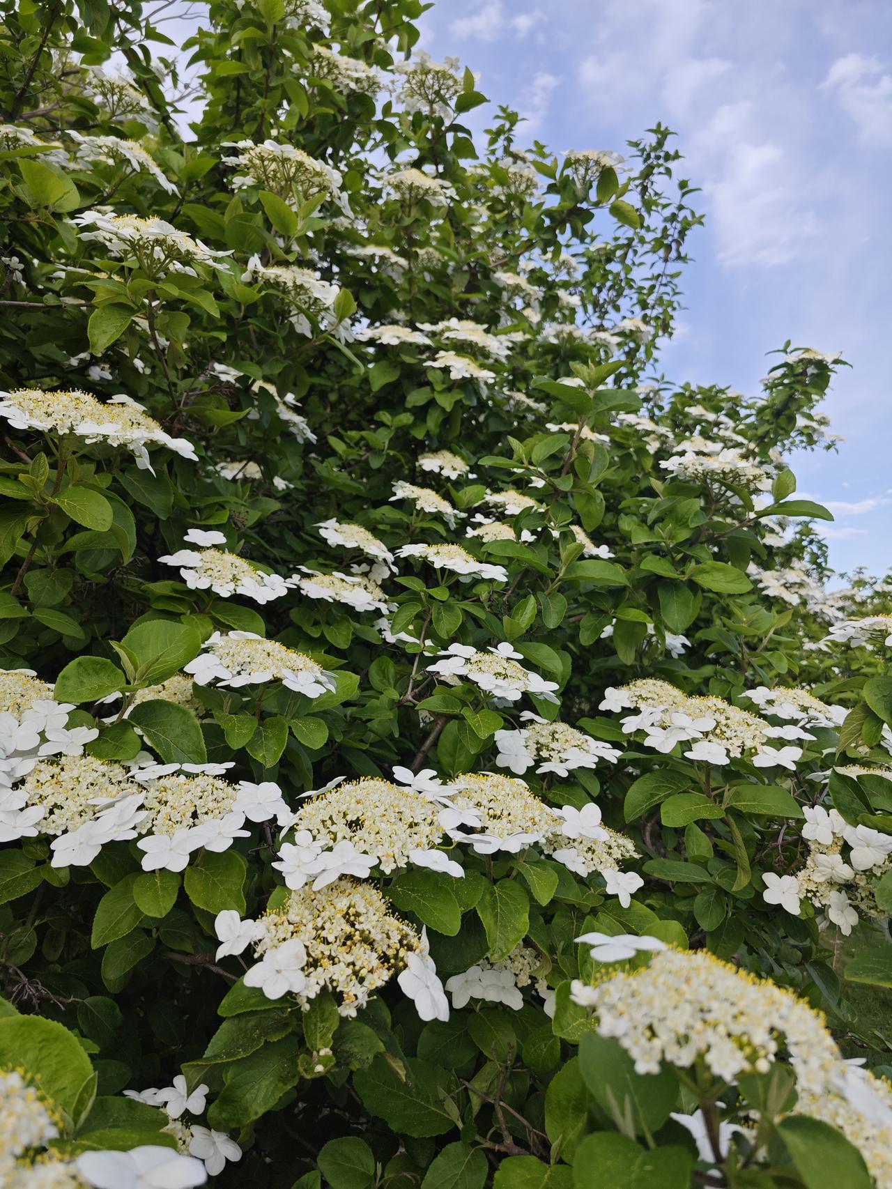 人老了，养对地方，比吃啥补品都强！太实在了！多少人一把年纪，才明白：养生