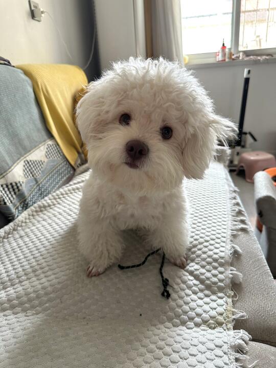 盯得我都不好意思了