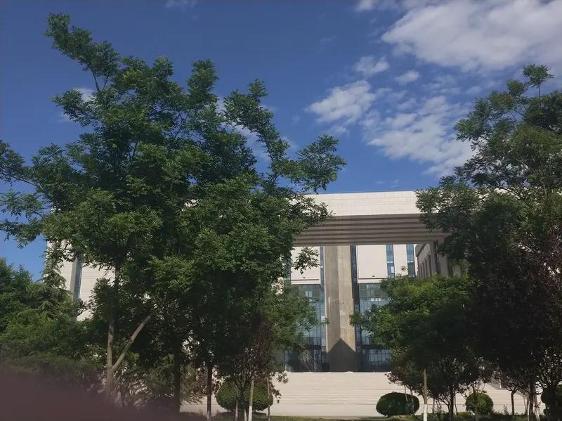 有个律所的朋友，说他们那去了一个大学生实习的，自称是西北政法学生。好巧不巧，一次