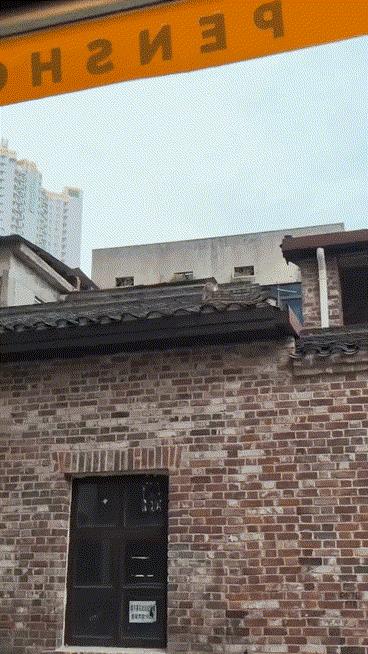 小猫咪的必修课…
