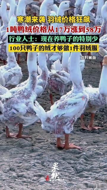 今年买羽绒服的人，是不是都被刺到了？往年1000块能买件厚绒的，今年逛商