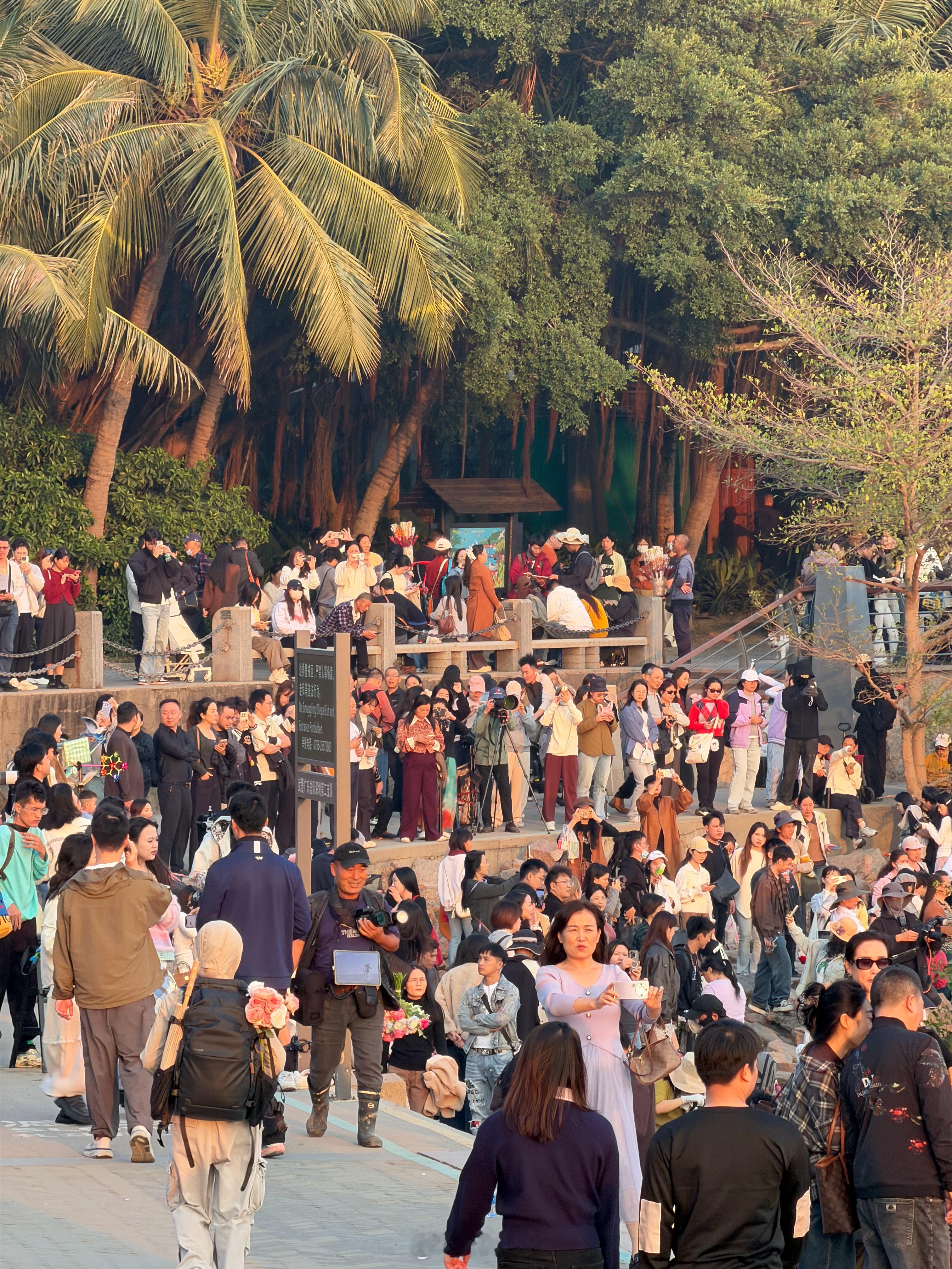 万万没想到，深圳工作日的下午有如此之多的人在深圳湾公园露营和打鸟难道他们都不用上